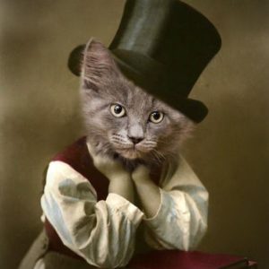Ptichat
