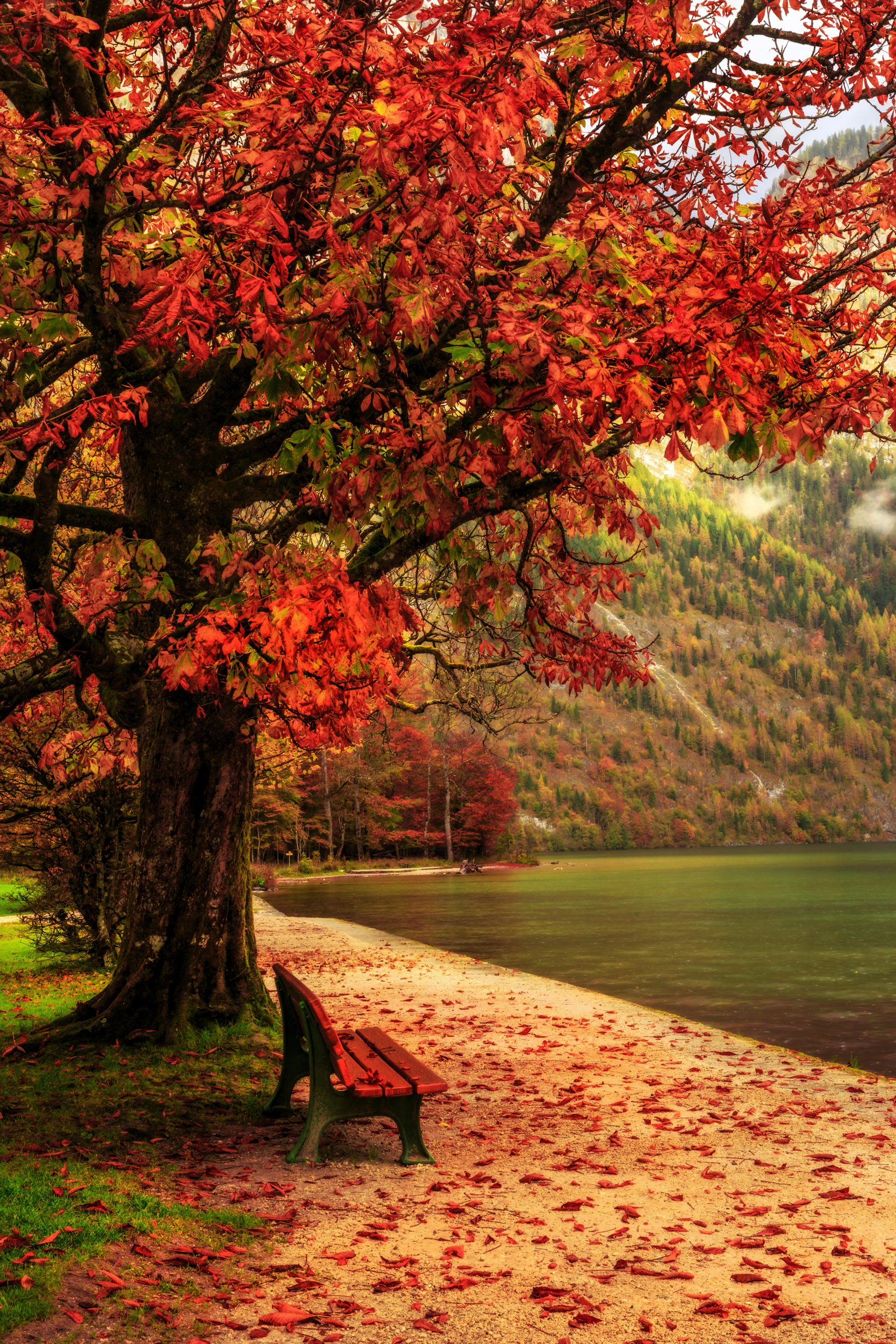 Bel Automne à la Mer des Rois